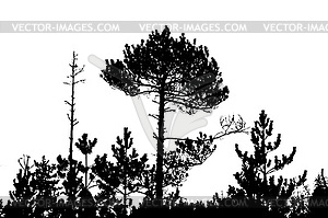 Дерево силуэт, - клипарт в векторе / векторное изображение