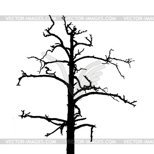 Tree silhouette - vector clipart