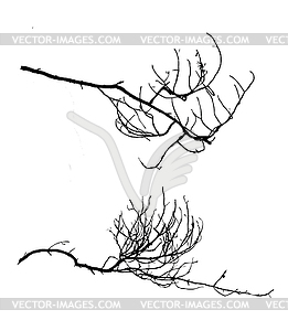Дерево силуэт, - изображение векторного клипарта