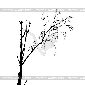 Tree silhouette - vector clip art