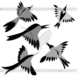 Decorative birds illustratio - royalty-free vector clipart