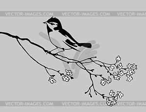 Bird silhouette - vector image