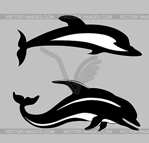 Two dolphins - vector clipart