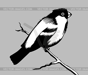 Bird silhouette - vector clipart