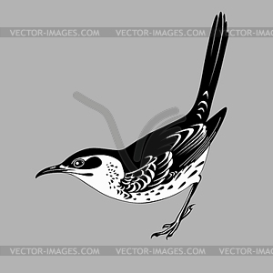 Thrush silhouette - vector clipart