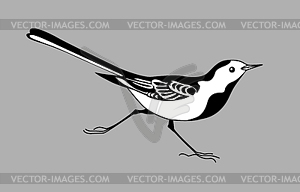 Wagtail silhouette - royalty-free vector image