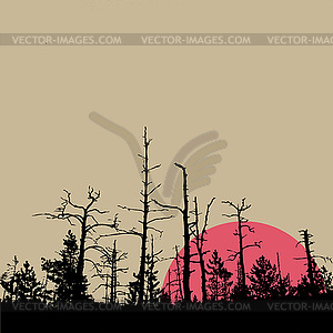 Sun in wood on brown background, - vector clipart