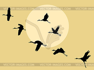 Crane silhouette on solar background, - vector clipart