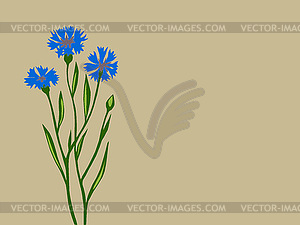 Cornflower silhouette on brown background - vector image