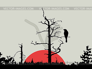 Bird on branch amongst wood - vector clip art