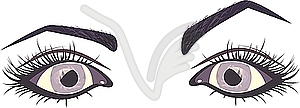 Women`s eyes - vector image