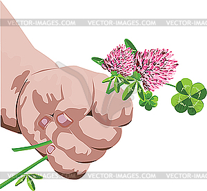 Childrens hand with clover - vector image