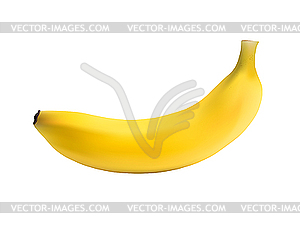 Banana - vector image