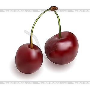 Two cherries - vector clip art