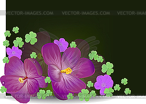 Весенние цветы с зелеными листьями клевера - стоковое векторное изображение