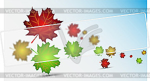 Autumn leaves - vector clipart