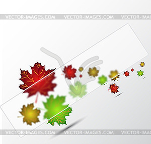 Autumn leaves - vector clipart