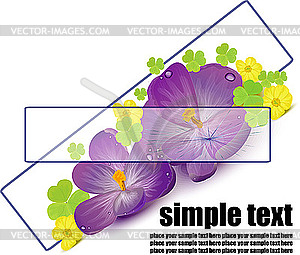 Весенние цветы с зелеными листьями клевера - векторный клипарт / векторное изображение
