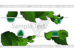 Green leaves - vector clipart