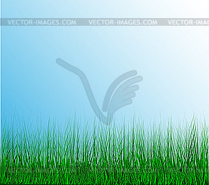 Green grass - vector clip art