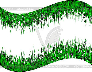 Green grass - vector clipart / vector image