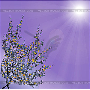 Spring tree - vector clipart