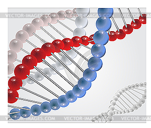 Molecule of DNA - vector clipart