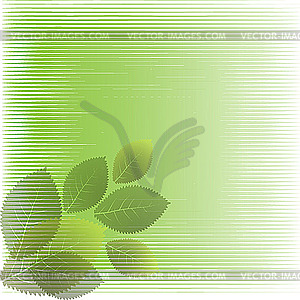 Green leaves - vector clipart / vector image