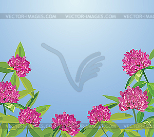 Background with clover flowers - vector image