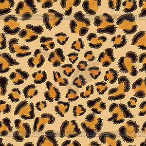 Leopard seamless pattern - color vector clipart