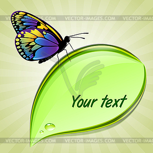 Butterfly sitting on leaf - vector clip art