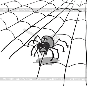 Spider in web - vector image