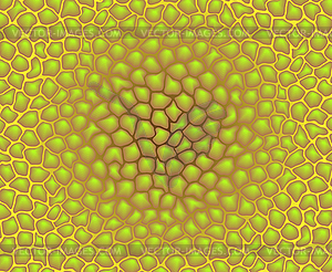 Color texture - pattern of cells - vector image