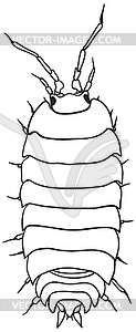 Woodlouse - monochrome drawing - vector EPS clipart