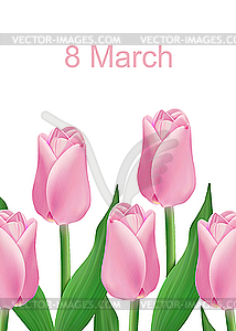 Greeting card with tulips - vector image