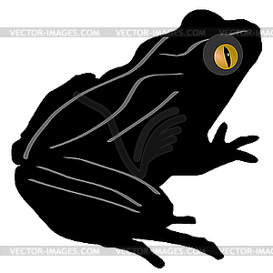 Frog - vector image