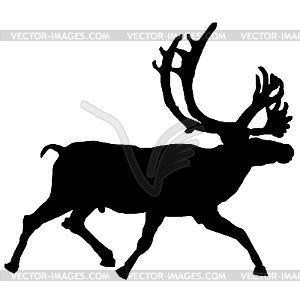 Reindeer - vector image