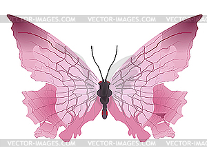 The butterfly - vector clipart