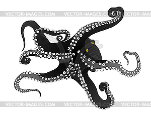 Octopus - vector EPS clipart