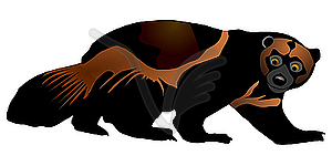 Wolverine - vector clip art