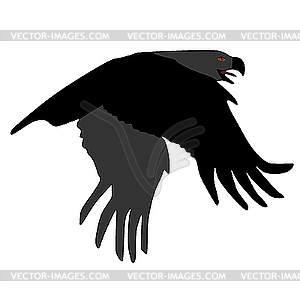 Eagle - vector clip art