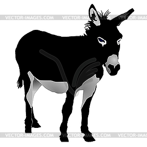 Donkey - vector image