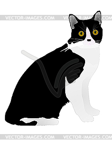 Black cat - vector image