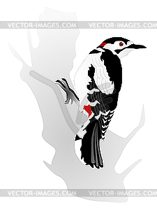 Woodpecker - vector EPS clipart