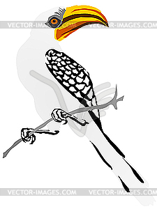 Yellow-billed hornbill - vector image