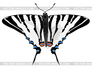 Фигура бабочки - векторное изображение EPS