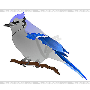 Blue bird - vector clipart