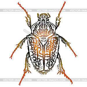 Работа жук - векторизованное изображение