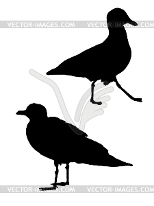 Силуэт чайки - стоковое векторное изображение