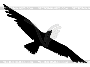 Silhouette of an albatross - vector clipart